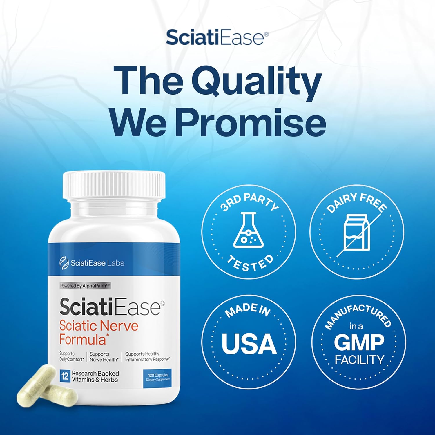 SciatiEase Sciatic Nerve Health Support Supplement - Nerve Support Formula with AlphaPalm, Pea, Vitamin B Complex, Alpha Lipoic Acid 300mg - 3 Bottles - Image 5