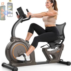 Niceday Recumbent Exercise Bike, Recumbent Bike for Home, Recumbent Stationary Bike 400LBS Weight Capacity, Magnetic Recumbent Bike with Smart APP, LCD Monitor, Heart Rate Handle