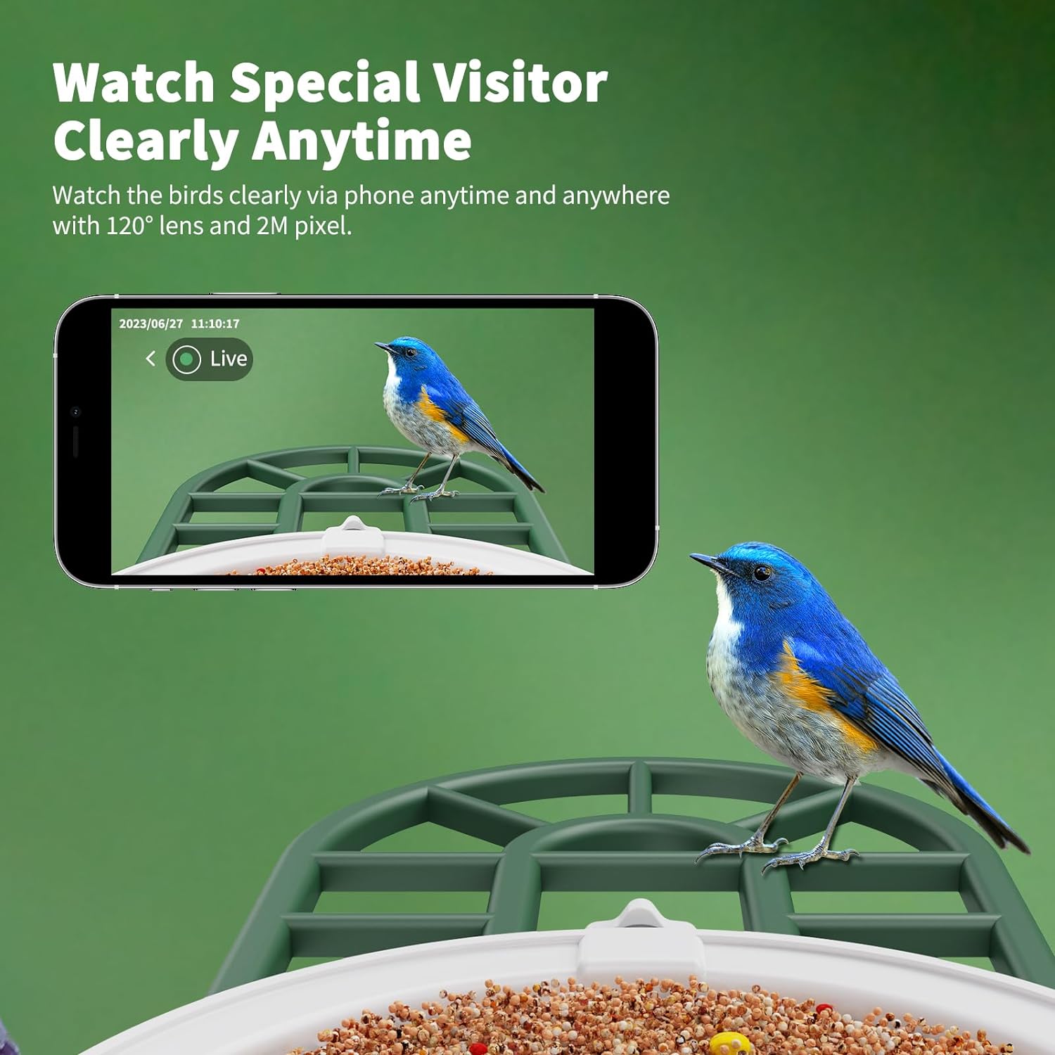 Bird Feeder with Camera with AI Identify Birds Species Solar Powered, Smart Bird House with Cam, 2K HD Video Live Stream, Instant Arrival Alerts - Green - Image 6