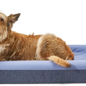 Casper Dog Bed, Plush Memory Foam, Large, Blue, 35.0″L x 45.0″W x 7.0″Th