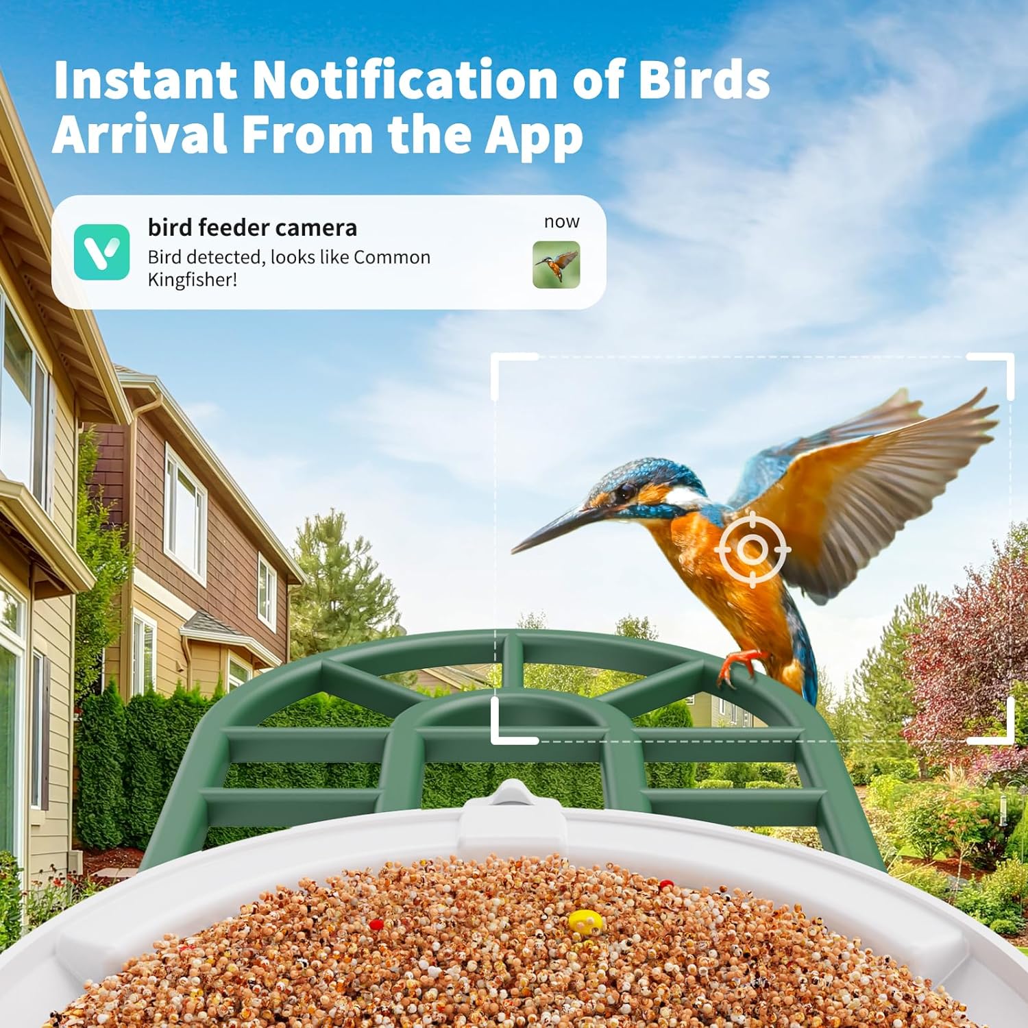 Bird Feeder with Camera with AI Identify Birds Species Solar Powered, Smart Bird House with Cam, 2K HD Video Live Stream, Instant Arrival Alerts - Green - Image 7