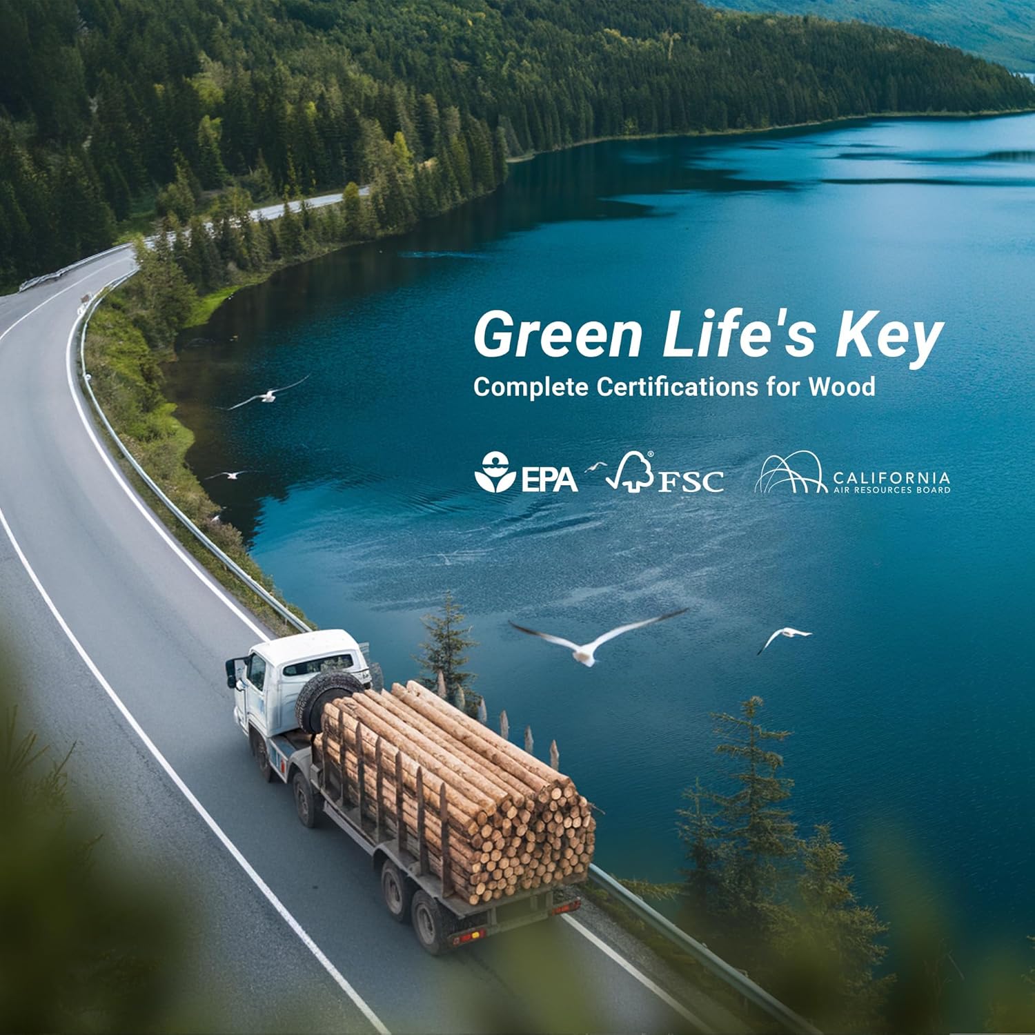 Claiks Electric Standing Desk, Adjustable Height Stand up Desk, 24x48 Inches Sit Stand Home Office Desk with Splice Board, Black Frame/Rustic Brown Top - Image 9