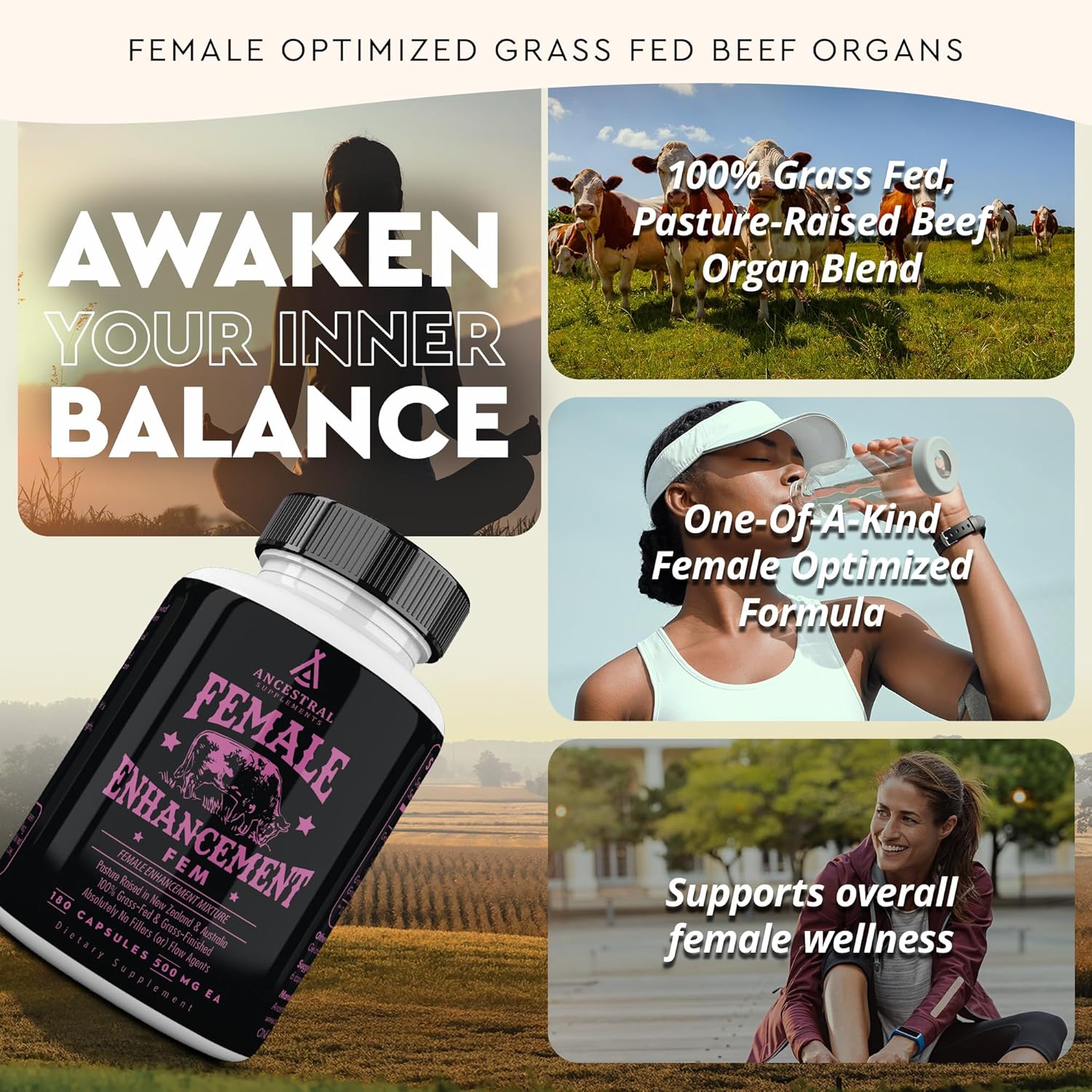 Beef Organ Supplement for Women – Supports Hormone Balance, Energy & Wellness – Grass Fed, Pasture Raised Superfood – Liver, Heart, Kidney, Bone Marrow – Collagen, CoQ10, B12 – Female Support Blend - Image 2