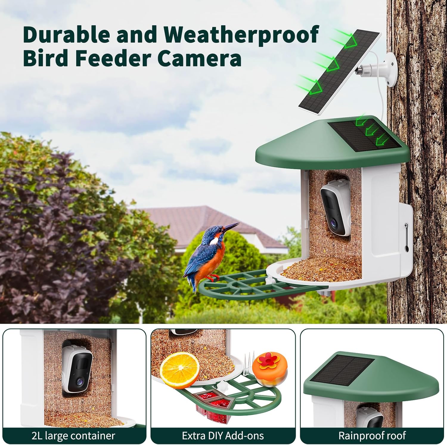 Bird Feeder with Camera with AI Identify Birds Species Solar Powered, Smart Bird House with Cam, 2K HD Video Live Stream, Instant Arrival Alerts - Green - Image 3