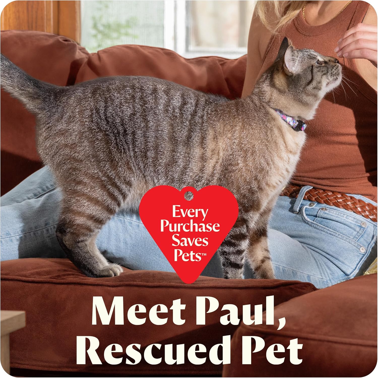 BISSELL Little Green Mini Portable Carpet and Upholstery Deep Cleaner, Car/Auto Detailer, with HydroRinse Self-Cleaning Tool and 4" Tough Stain Tool, Tea Green, 4075 - Image 7