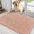 OLANLY Dog Door Mat for Muddy Paws 36×24, Absorbs Moisture and Dirt, Absorbent Non-Slip Washable Doormat, Quick Dry Chenille Mud Mat for Dogs, Entry Indoor Entryway Carpet for Inside Floor, Peach